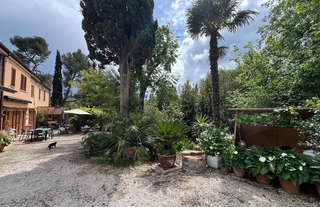 Il podere degli ulivi-1