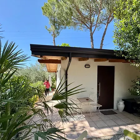 Il podere degli ulivi-2